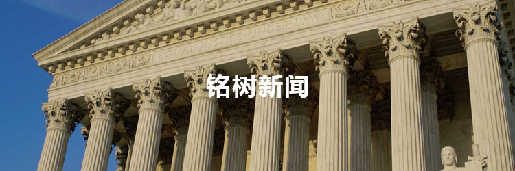 铭树动态